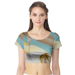 Sun Bubble Short Sleeve Crop Top by WILLBIRDWELL