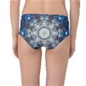 Painted Blue Mandala Flower On Canvas Mid-Waist Bikini Bottoms View2