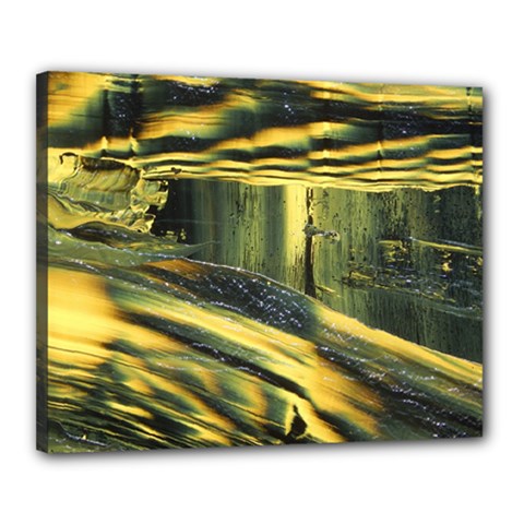 Yellow Dog Canvas 20  X 16  (stretched)