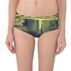 Yellow Dog Mid-waist Bikini Bottoms by WILLBIRDWELL