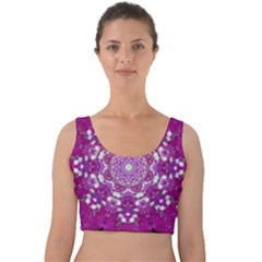 Wonderful Star Flower Painted On Canvas Velvet Crop Top