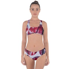 Ecstacy Criss Cross Bikini Set