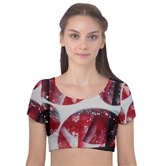 Ecstacy Velvet Short Sleeve Crop Top  by WILLBIRDWELL