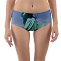 Easter 6 Reversible Mid-Waist Bikini Bottoms View3