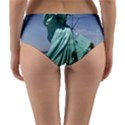 Easter 6 Reversible Mid-Waist Bikini Bottoms View4