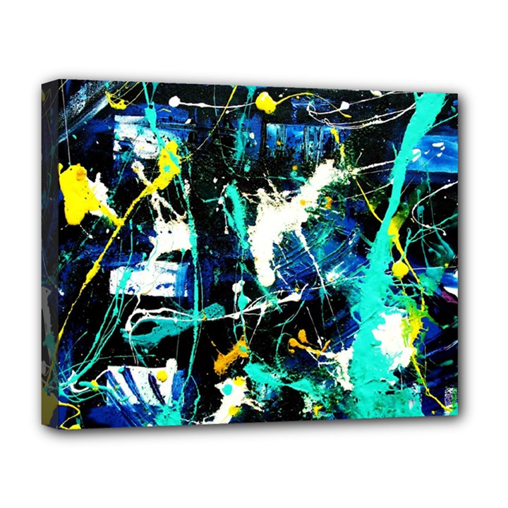 Brain Reflections 6 Deluxe Canvas 20  x 16  (Stretched)