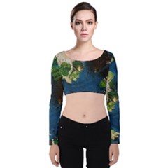 Avocado 3 Velvet Long Sleeve Crop Top