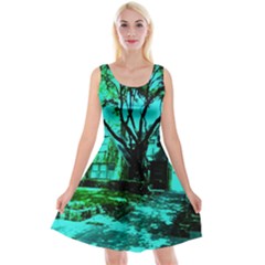 Hot Day In Dallas 50 Reversible Velvet Sleeveless Dress