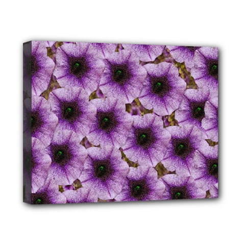 The Sky Is Not The Limit For Beautiful Big Flowers Canvas 10  X 8  (stretched) by pepitasart