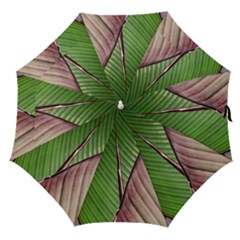 Leaf Banana Leaf Greenish Lines Straight Umbrellas by Sapixe