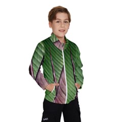 Leaf Banana Leaf Greenish Lines Windbreaker (kids) by Sapixe