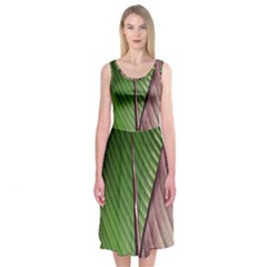 Leaf Banana Leaf Greenish Lines Midi Sleeveless Dress by Sapixe