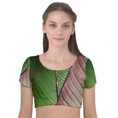 Leaf Banana Leaf Greenish Lines Velvet Short Sleeve Crop Top 