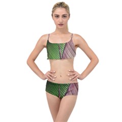 Leaf Banana Leaf Greenish Lines Layered Top Bikini Set