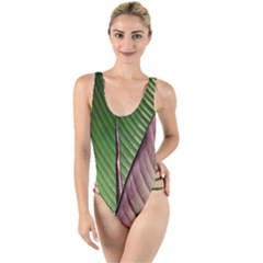 Leaf Banana Leaf Greenish Lines High Leg Strappy Swimsuit by Sapixe