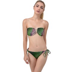 Leaf Banana Leaf Greenish Lines Twist Bandeau Bikini Set