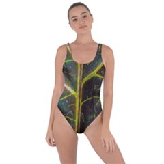 Leaf Abstract Nature Design Plant Bring Sexy Back Swimsuit by Sapixe