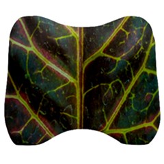 Leaf Abstract Nature Design Plant Velour Head Support Cushion