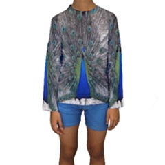 Peacock Bird Animals Pen Plumage Kids  Long Sleeve Swimwear