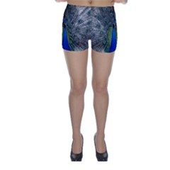 Peacock Bird Animals Pen Plumage Skinny Shorts by Sapixe