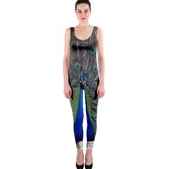 Peacock Bird Animals Pen Plumage One Piece Catsuit by Sapixe