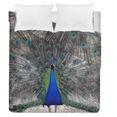 Peacock Bird Animals Pen Plumage Duvet Cover Double Side (queen Size) by Sapixe