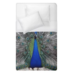 Peacock Bird Animals Pen Plumage Duvet Cover (single Size) by Sapixe