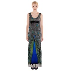 Peacock Bird Animals Pen Plumage Maxi Thigh Split Dress by Sapixe