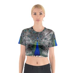 Peacock Bird Animals Pen Plumage Cotton Crop Top by Sapixe