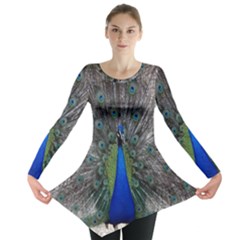 Peacock Bird Animals Pen Plumage Long Sleeve Tunic  by Sapixe