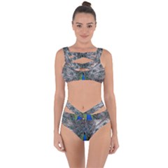 Peacock Bird Animals Pen Plumage Bandaged Up Bikini Set  by Sapixe