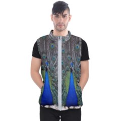 Peacock Bird Animals Pen Plumage Men s Puffer Vest by Sapixe