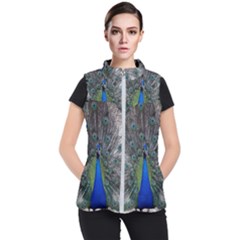 Peacock Bird Animals Pen Plumage Women s Puffer Vest by Sapixe