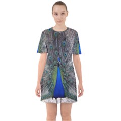 Peacock Bird Animals Pen Plumage Sixties Short Sleeve Mini Dress by Sapixe