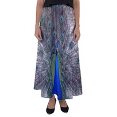 Peacock Bird Animals Pen Plumage Flared Maxi Skirt by Sapixe