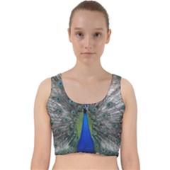 Peacock Bird Animals Pen Plumage Velvet Racer Back Crop Top by Sapixe