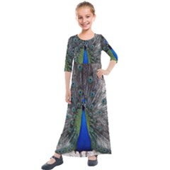 Peacock Bird Animals Pen Plumage Kids  Quarter Sleeve Maxi Dress by Sapixe