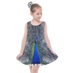 Peacock Bird Animals Pen Plumage Kids  Summer Dress