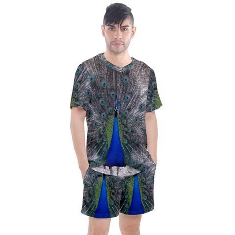 Peacock Bird Animals Pen Plumage Men s Mesh Tee And Shorts Set by Sapixe