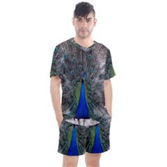 Peacock Bird Animals Pen Plumage Men s Mesh Tee And Shorts Set