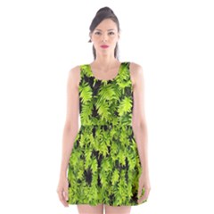 Green Hedge Texture Yew Plant Bush Leaf Scoop Neck Skater Dress by Sapixe