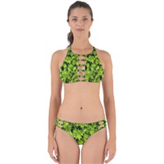 Green Hedge Texture Yew Plant Bush Leaf Perfectly Cut Out Bikini Set by Sapixe