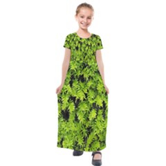 Green Hedge Texture Yew Plant Bush Leaf Kids  Short Sleeve Maxi Dress by Sapixe