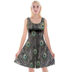 Background Peacock Feathers Reversible Velvet Sleeveless Dress