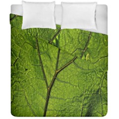 Butterbur Leaf Plant Veins Pattern Duvet Cover Double Side (california King Size) by Sapixe