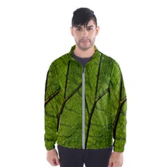 Butterbur Leaf Plant Veins Pattern Windbreaker (men)