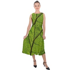 Butterbur Leaf Plant Veins Pattern Midi Tie-back Chiffon Dress