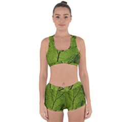 Butterbur Leaf Plant Veins Pattern Racerback Boyleg Bikini Set by Sapixe