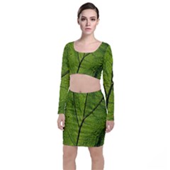 Butterbur Leaf Plant Veins Pattern Top And Skirt Sets by Sapixe