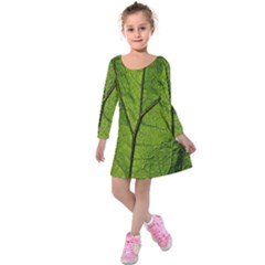 Butterbur Leaf Plant Veins Pattern Kids  Long Sleeve Velvet Dress